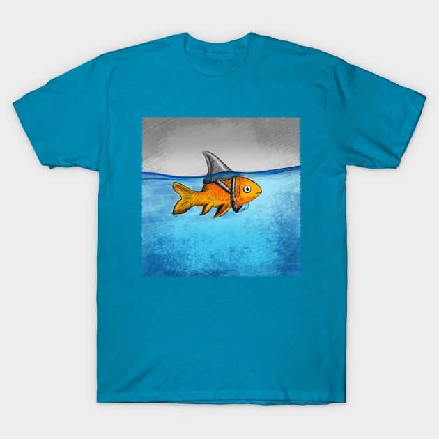 Attitude is everything Goldfish with a shark fin. Shark T